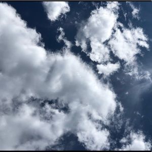 Meet your Posher, Desiree